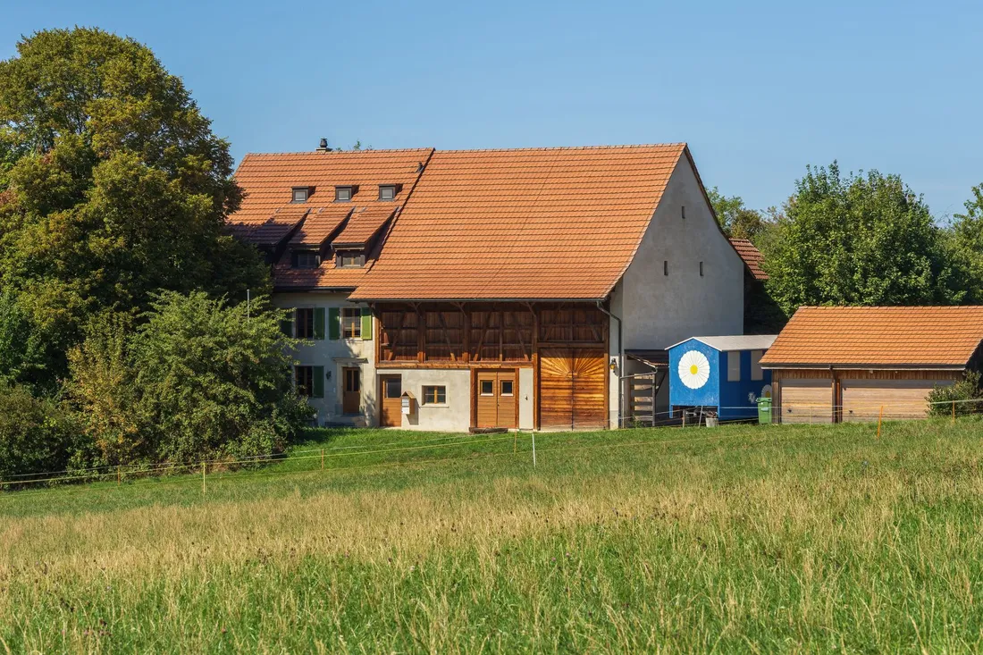 Bauernhof mit großem Scheunentor und Nebengebäuden hinter einer Sommerwiese